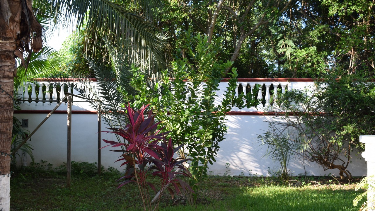 Photo of Outdoor in Alfredo V. Bonfil