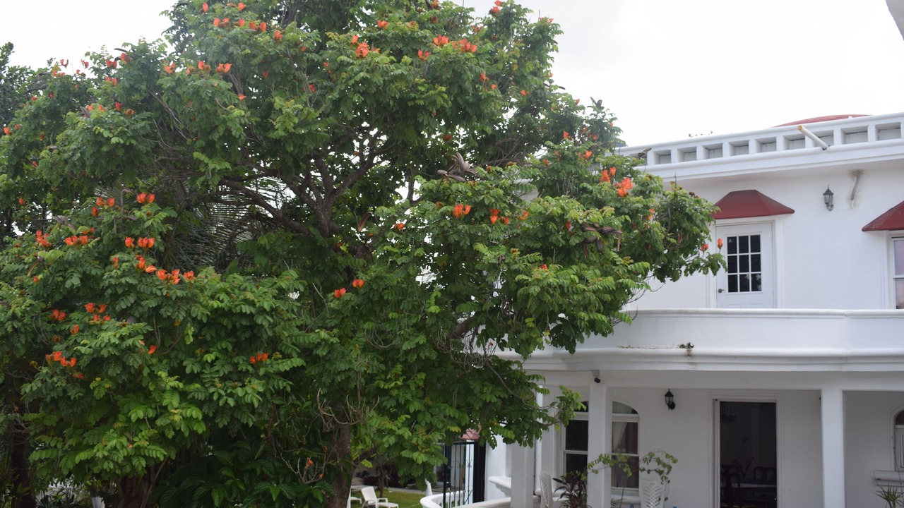 Photo of Outdoor in Alfredo V. Bonfil