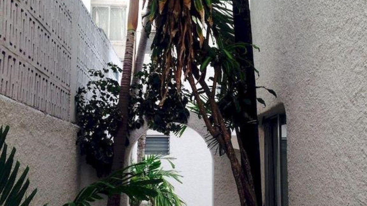 Photo of Outdoor in Avenida Tulum