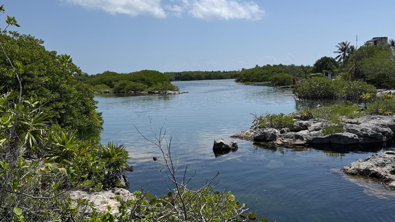 Photo of Outdoor in Akumal