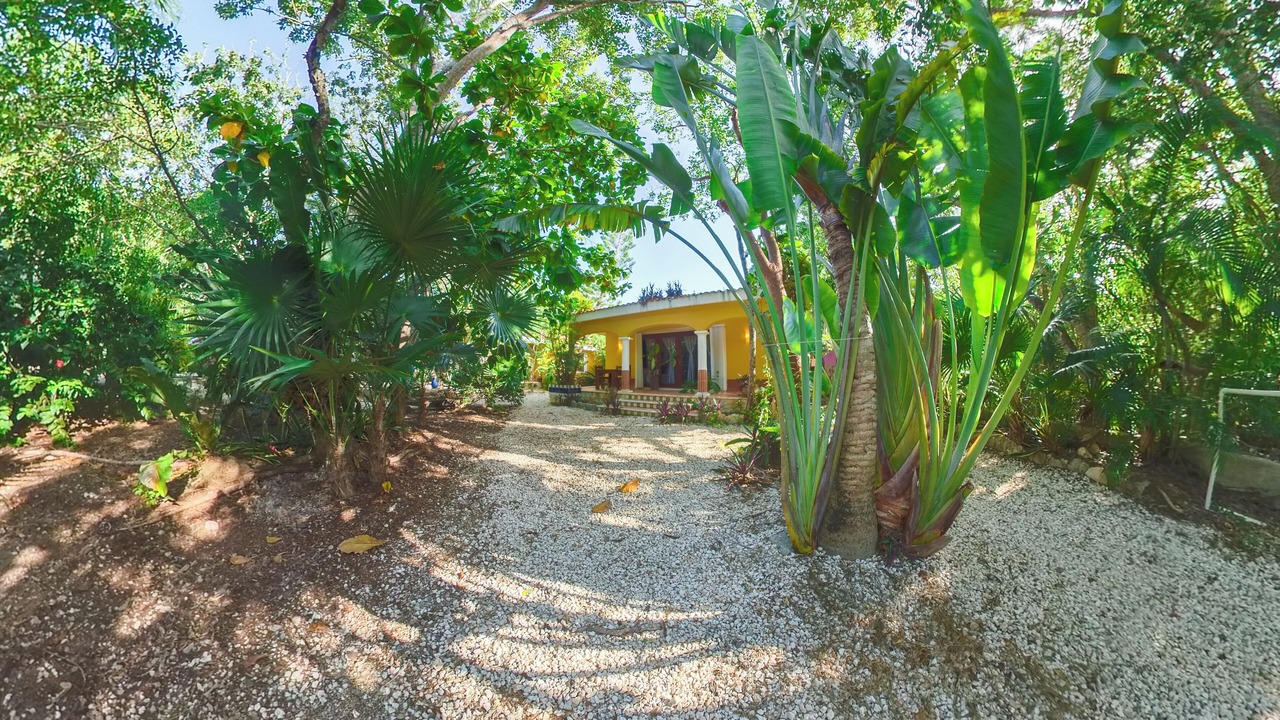 Photo of Outdoor in Akumal