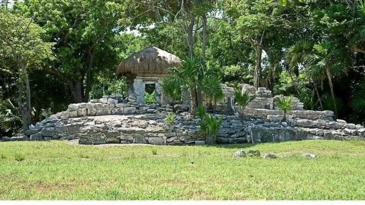 Photo of Kitchen in Playacar Fase I