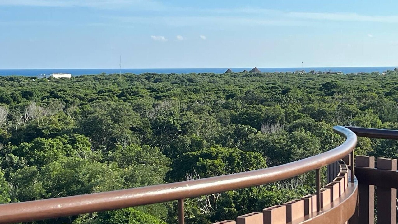 Photo of Patio Balcony in Playa Paraiso