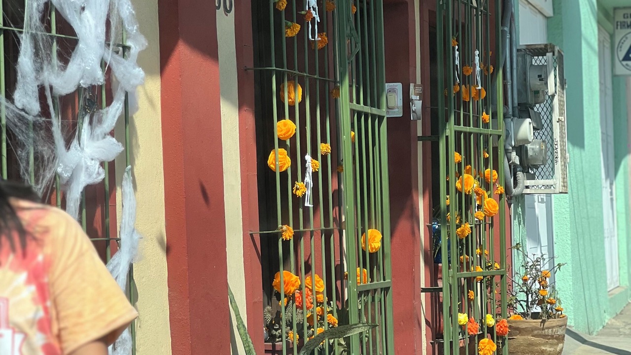 Photo of Others in Calzada Madero