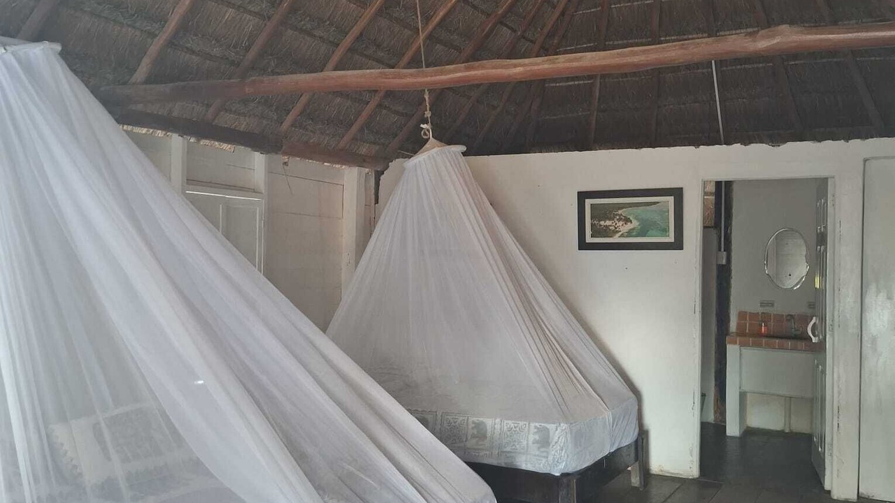 Photo of Others in Mahahual