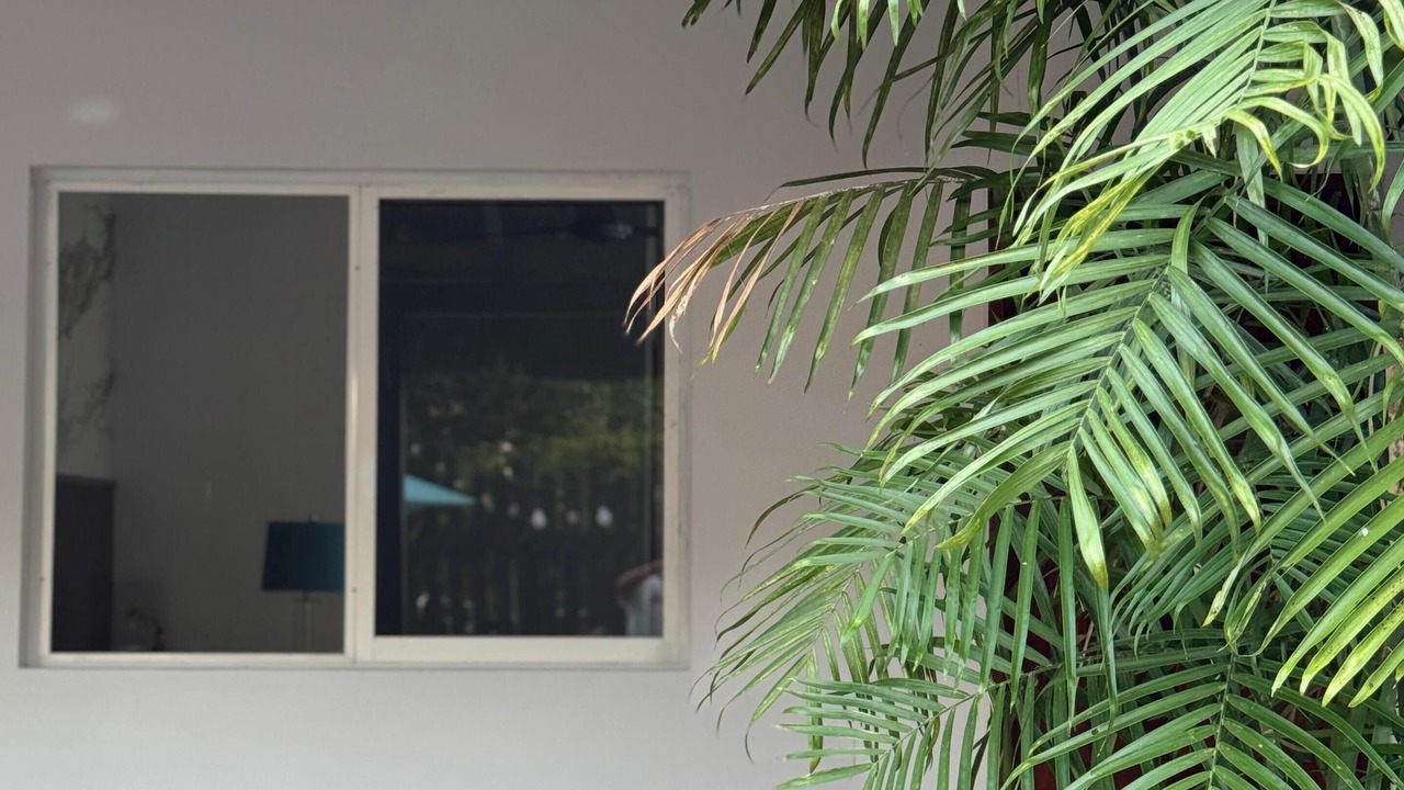 Photo of Bedroom in Chetumal