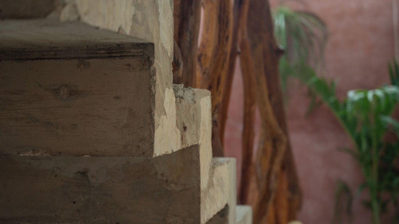 Photo of Others in Downtown Holbox