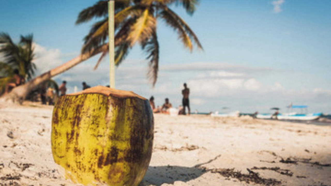 Photo of Others in Tulum City Center
