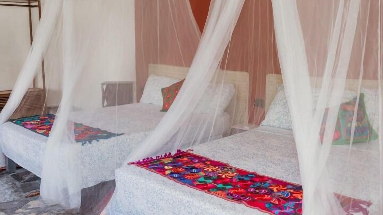 Photo of Outdoor in Izamal