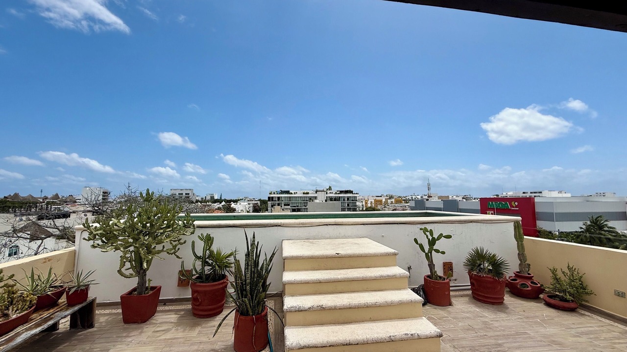 Photo of Outdoor in Gonzalo Guerrero