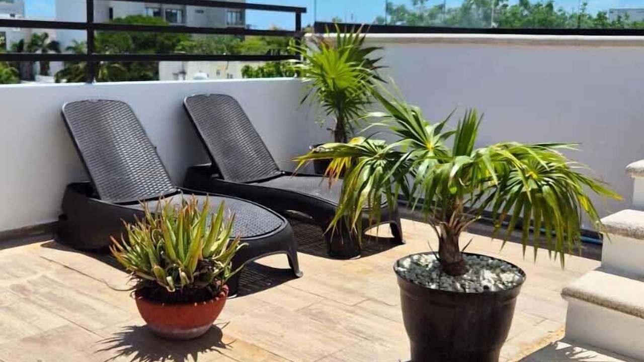 Photo of Outdoor in Gonzalo Guerrero
