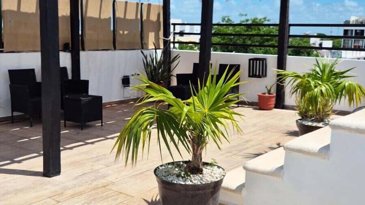 Photo of Outdoor in Gonzalo Guerrero