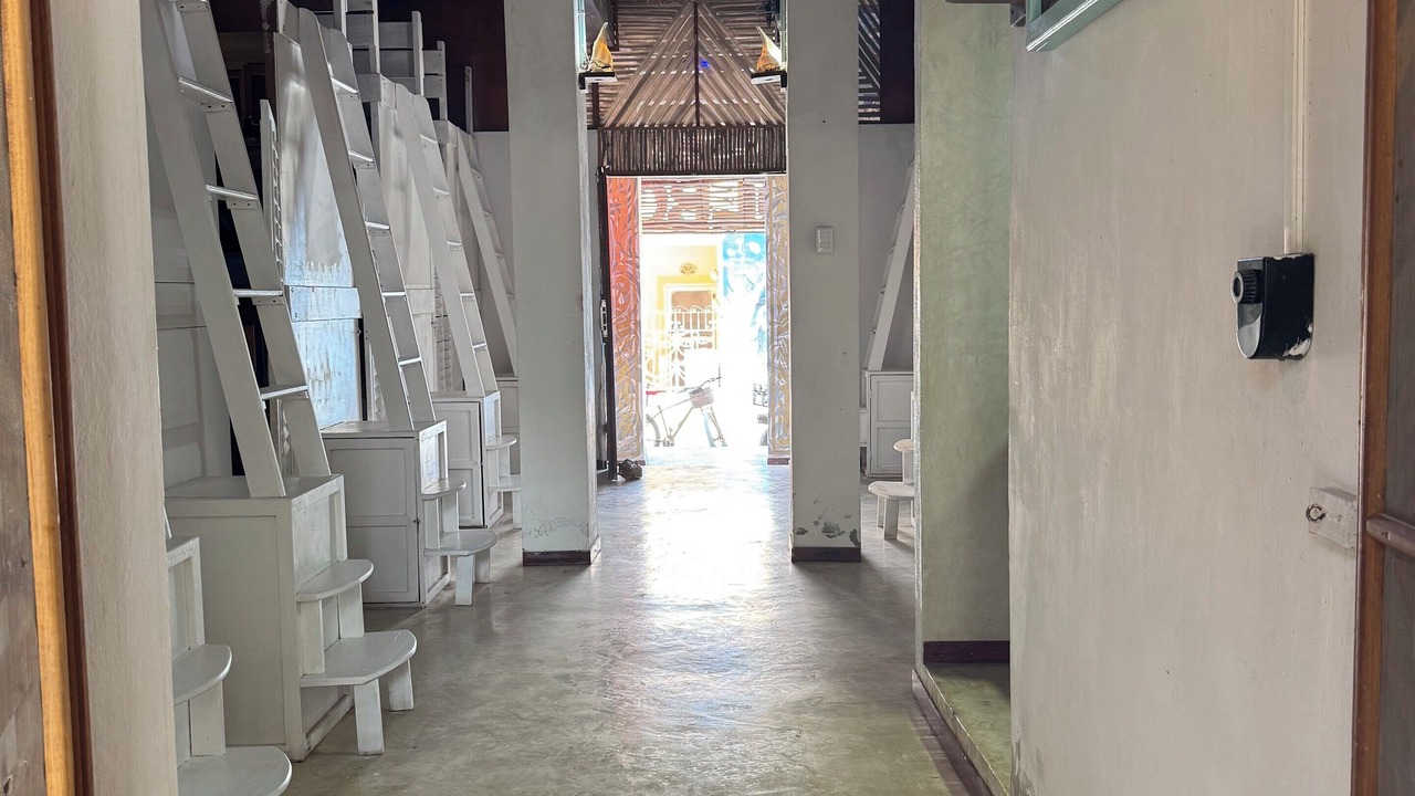 Photo of Others in Downtown Holbox