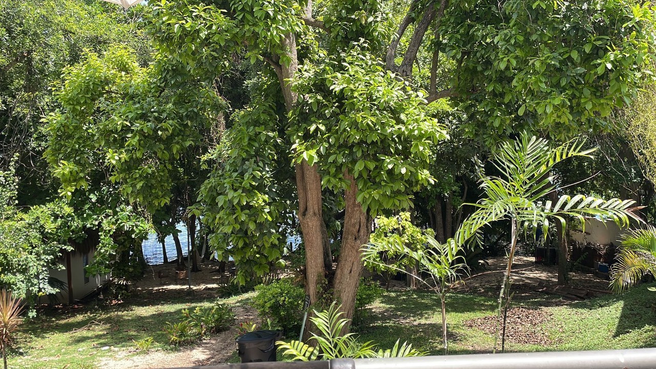 Photo of Patio Balcony in Bacalar