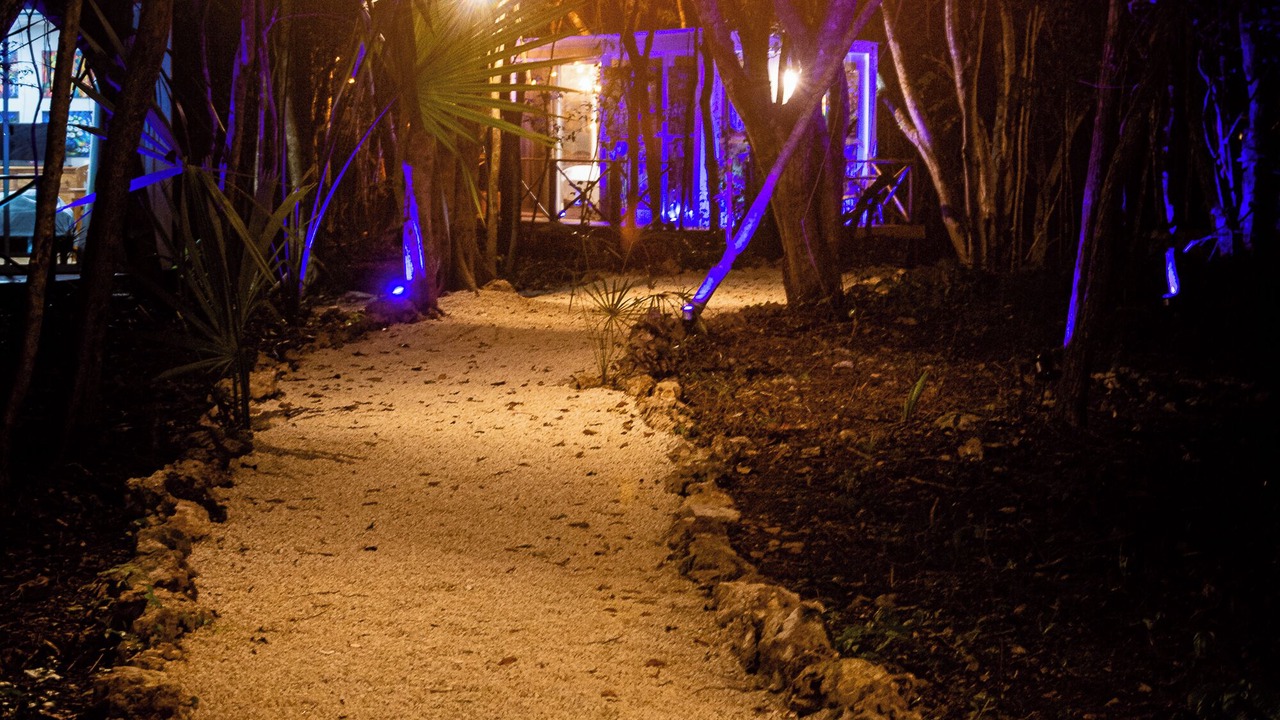 Photo of Outdoor in Akumal