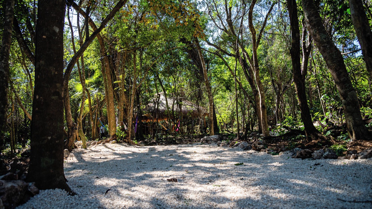 Photo of Outdoor in Akumal