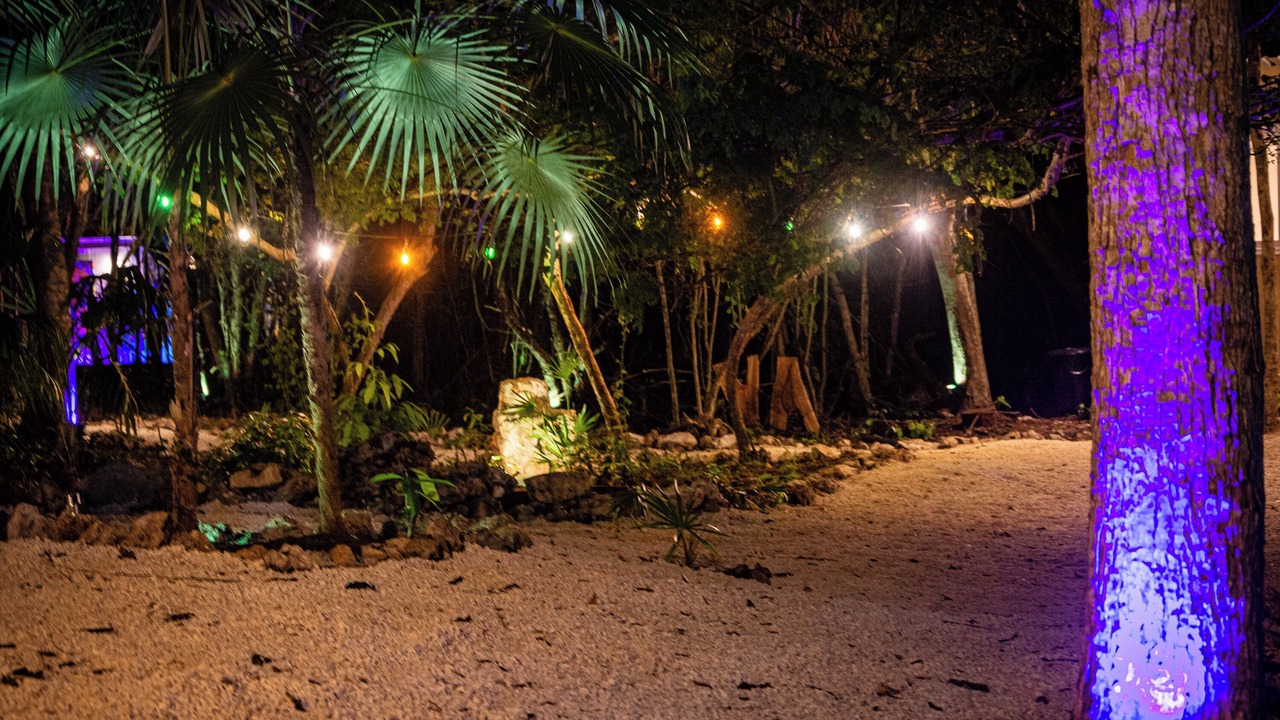 Photo of Outdoor in Akumal