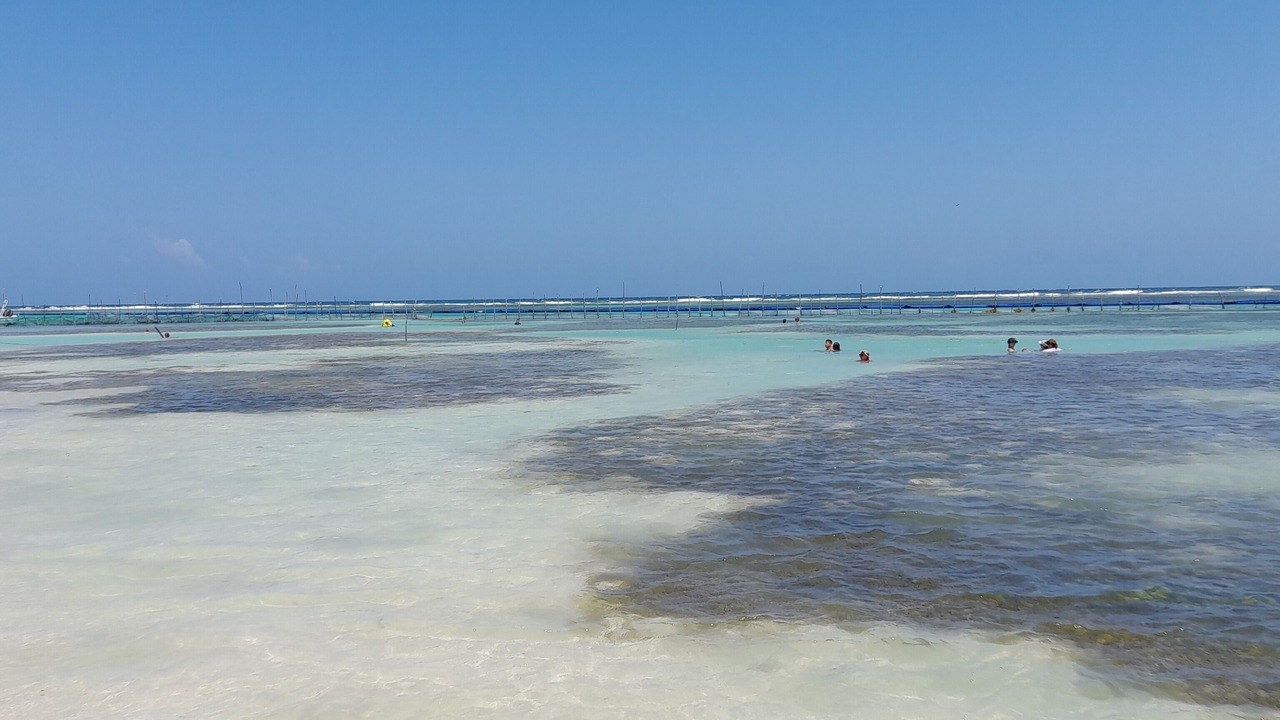 Photo of Others in Mahahual
