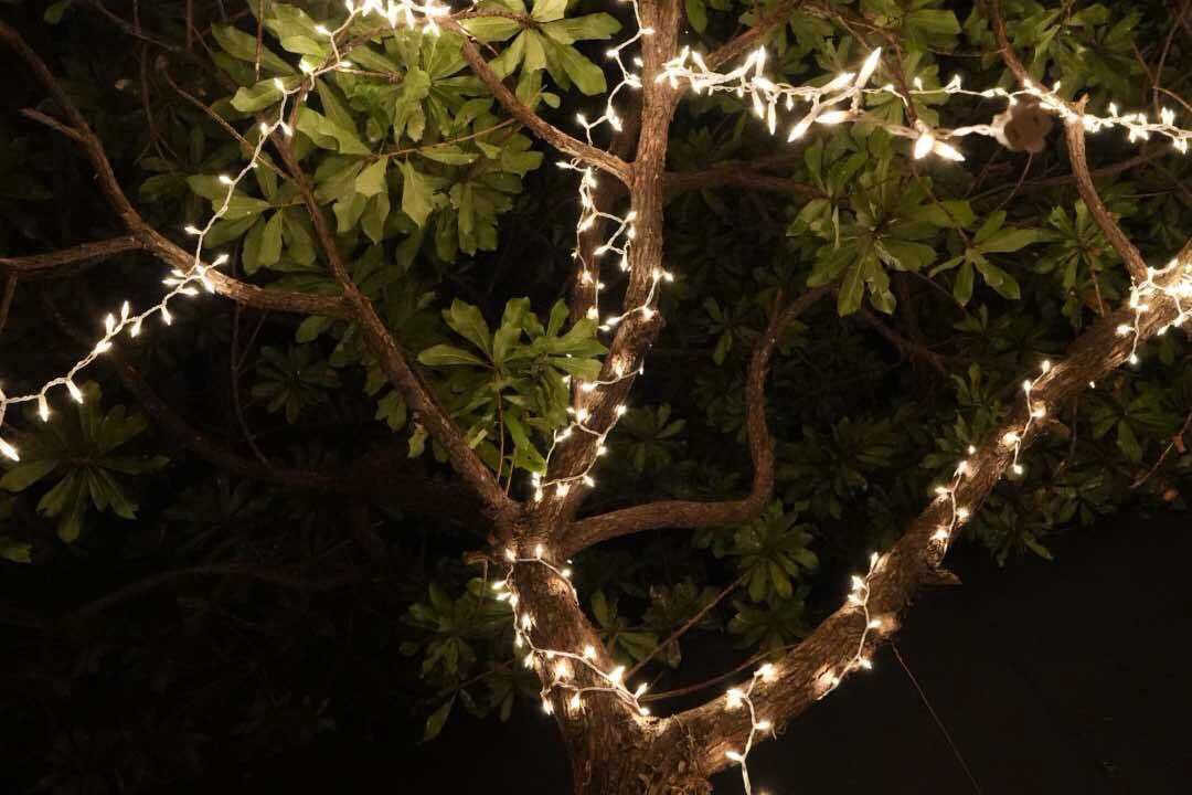 Photo of Outdoor in Tulum City Center