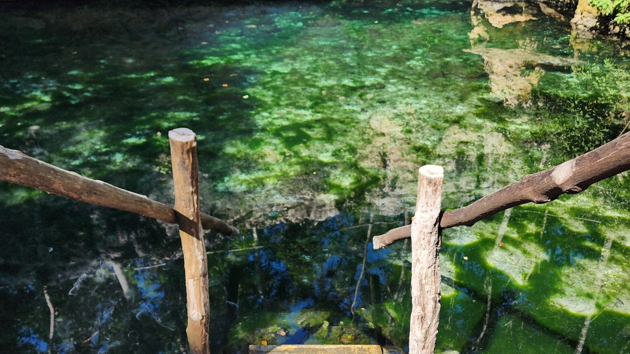 Photo of Outdoor in Akumal