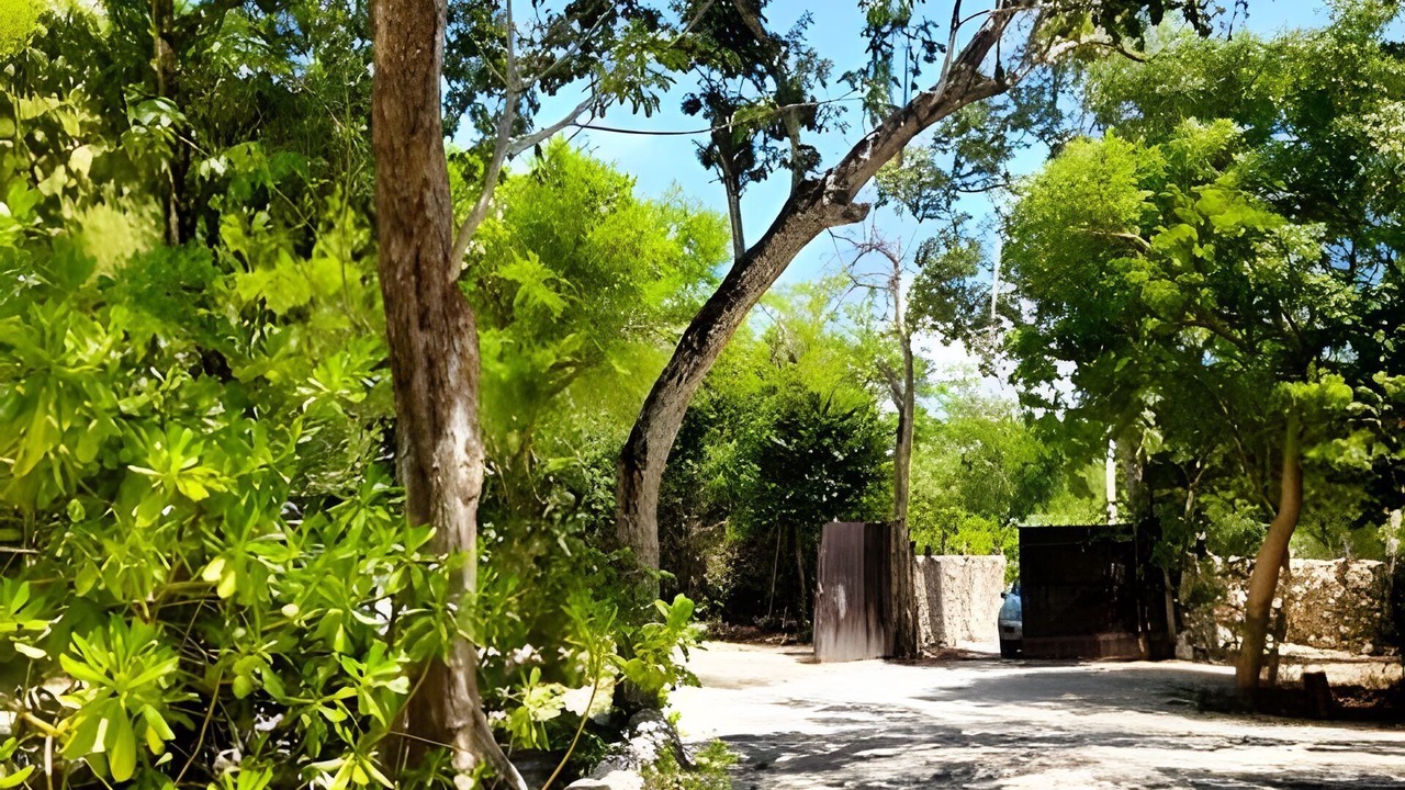 Photo of Outdoor in Tankah