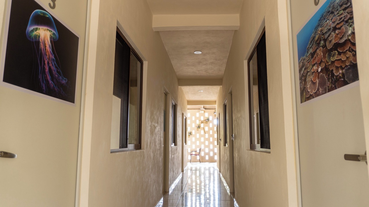Photo of Patio Balcony in Alfredo V. Bonfil