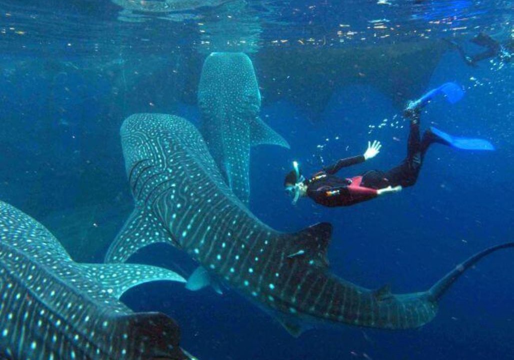 Photo of Others in Punta Sam