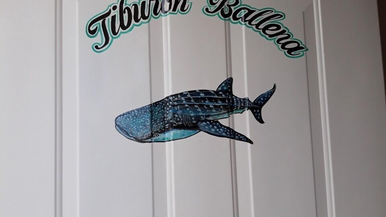 Photo of Outdoor in Downtown Holbox