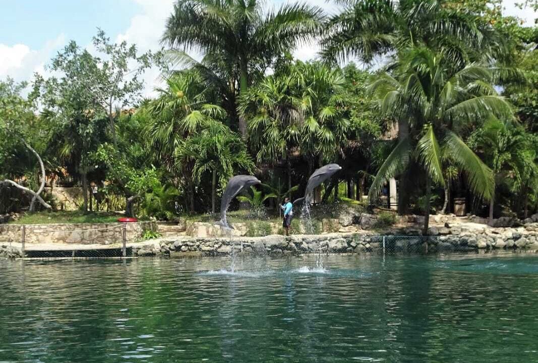 Photo of Others in Puerto Aventuras