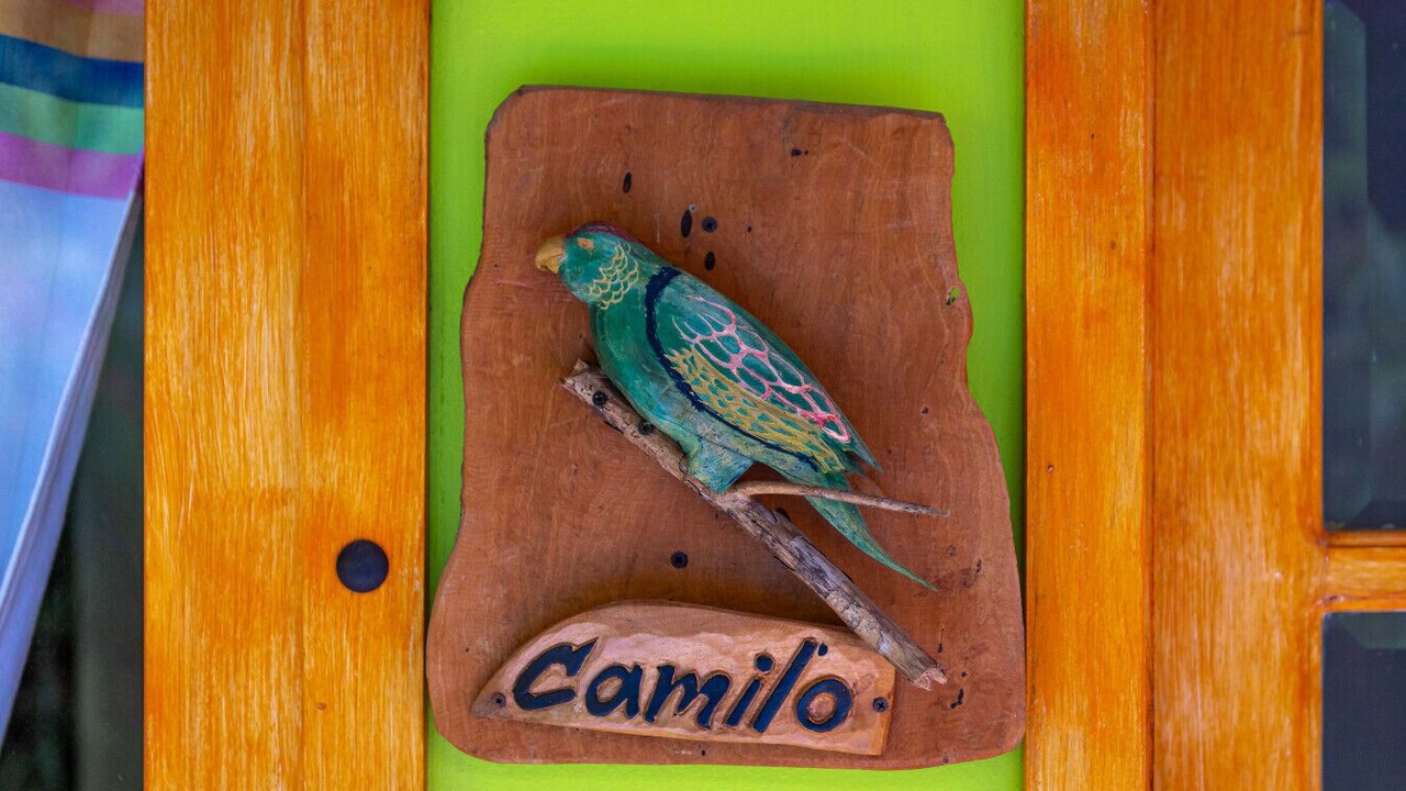 Photo of Outdoor in Xcaret