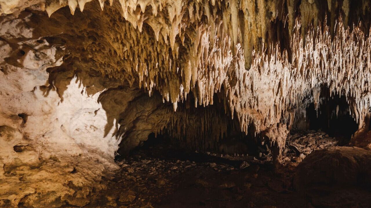 Photo of Others in Xcaret