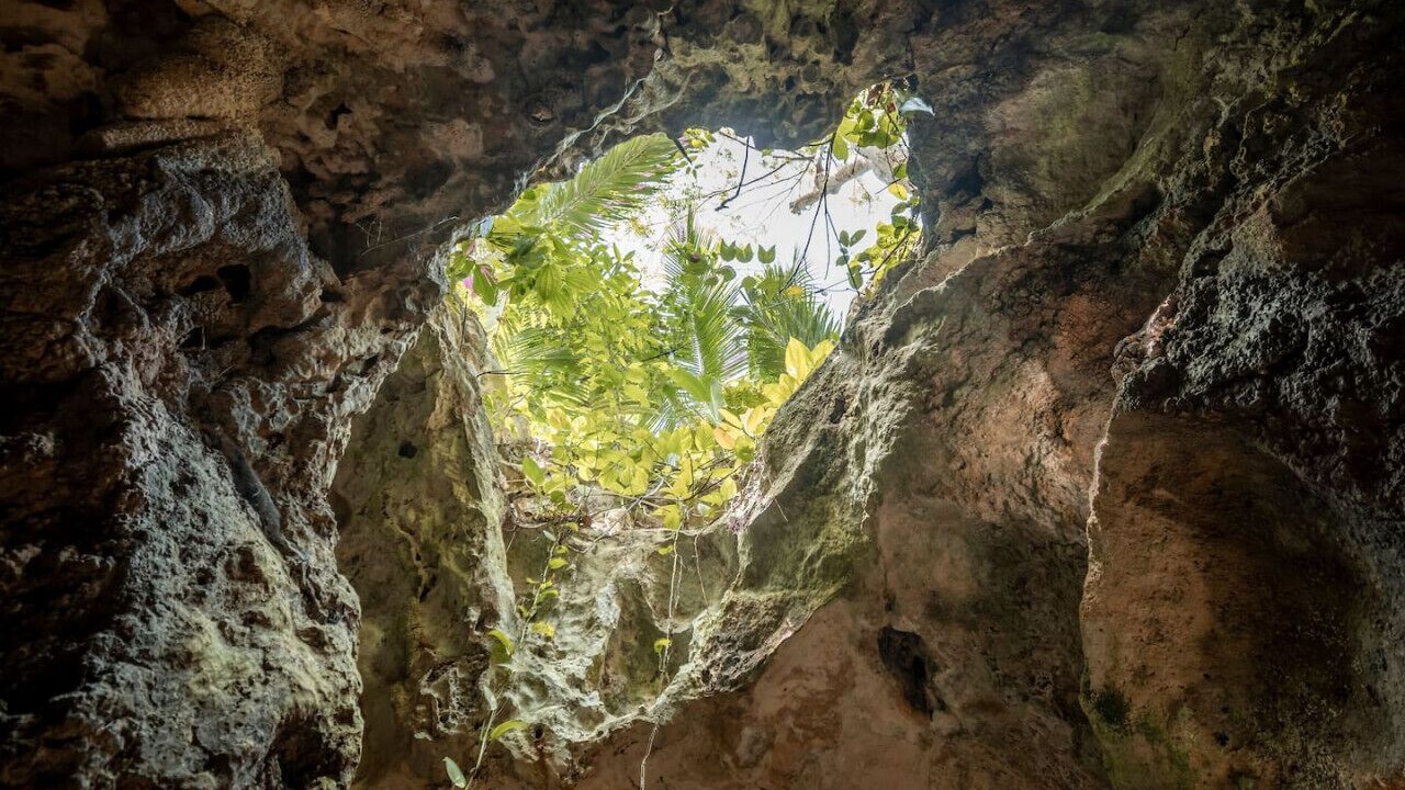 Photo of Others in Xcaret