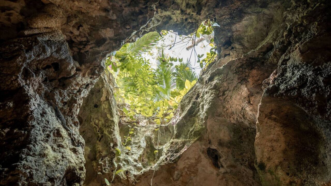 Photo of Others in Xcaret