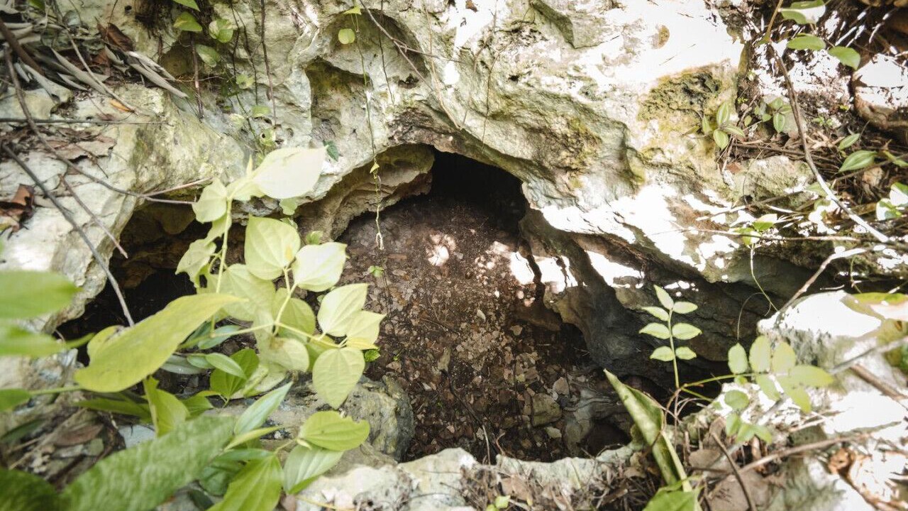 Photo of Others in Xcaret