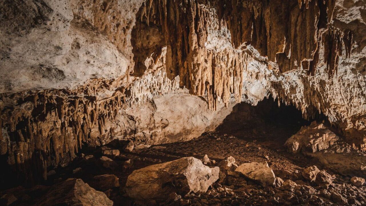 Photo of Others in Xcaret