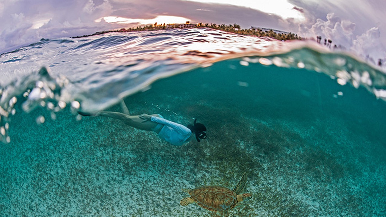Photo of Others in Akumal
