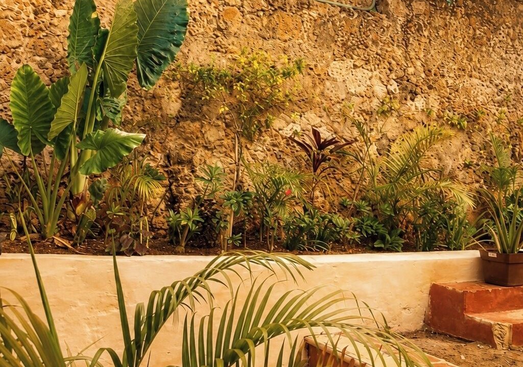 Photo of Outdoor in Zona Centro