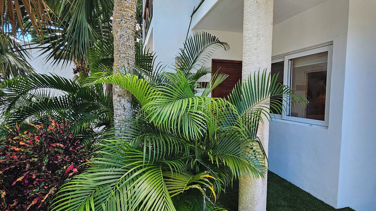Photo of Outdoor in Colonia Centro
