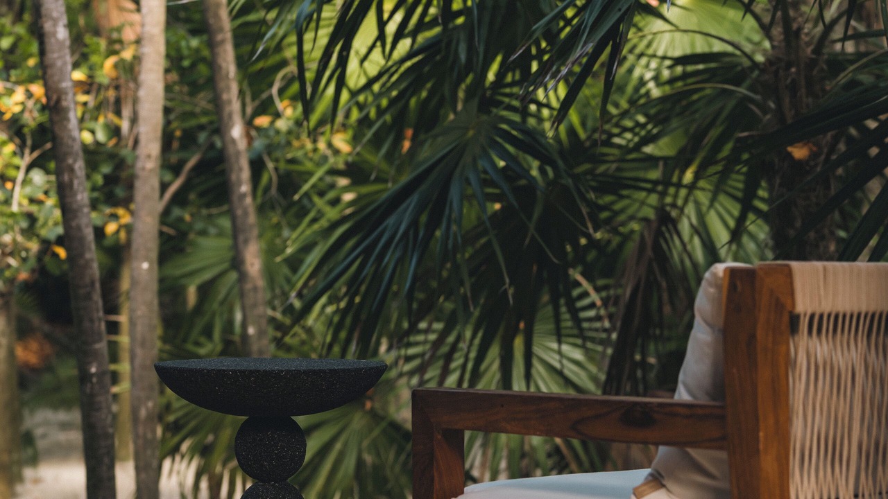 Photo of Outdoor in Punta Allen