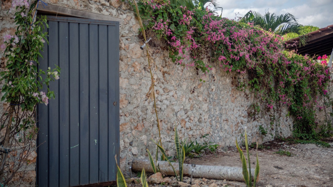 Photo of Outdoor in Buenavista