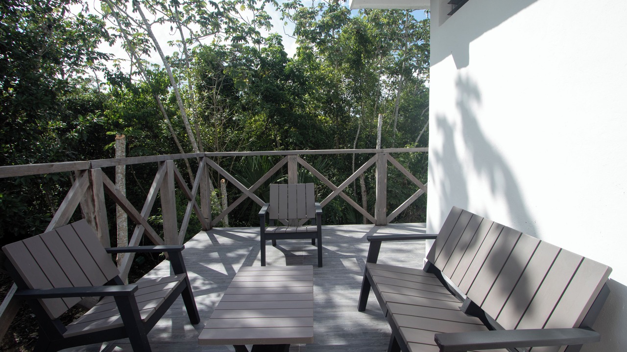 Photo of Patio Balcony in Leona Vicario