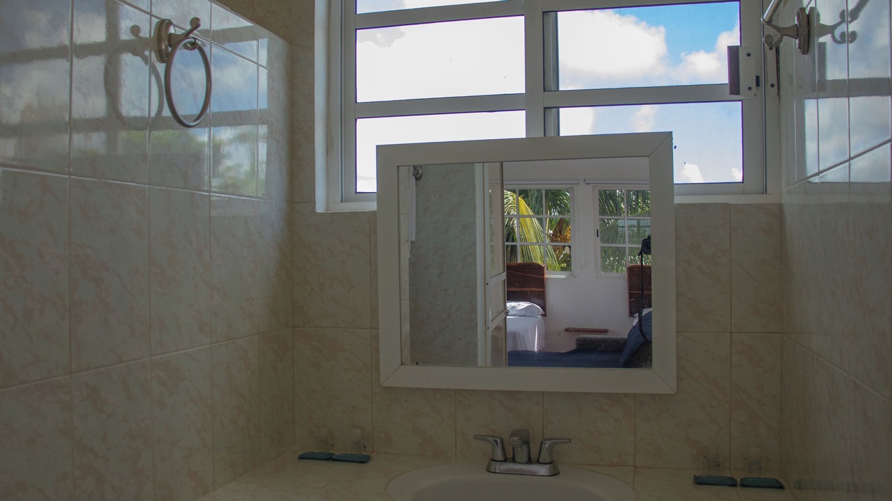 Photo of Bathroom in Leona Vicario