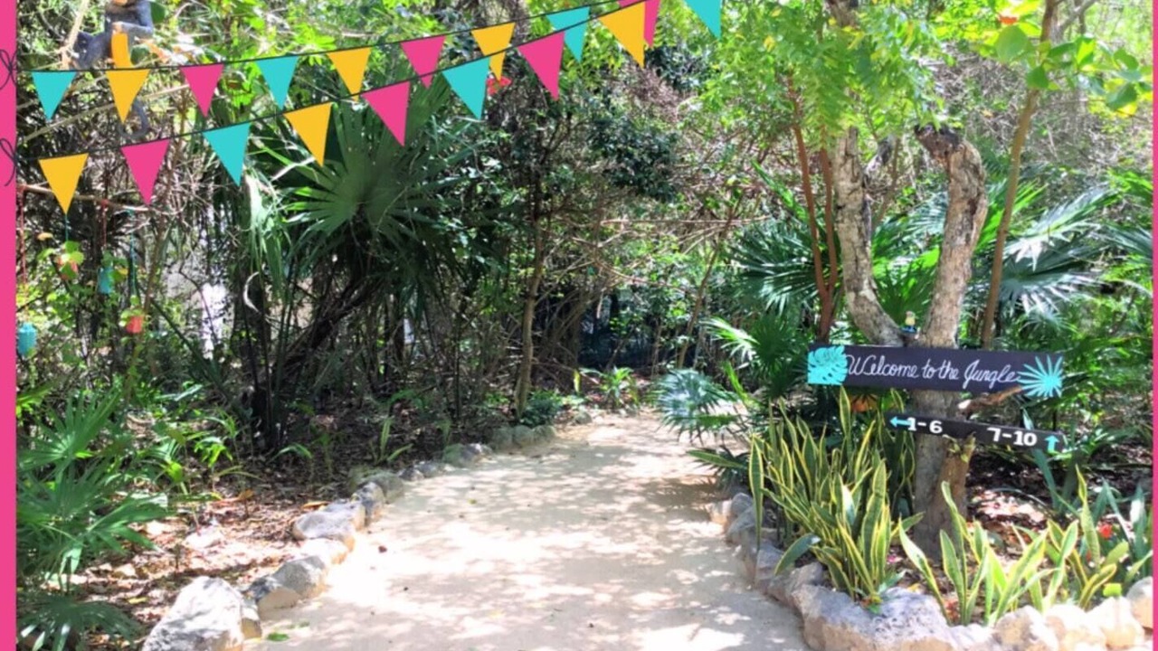 Photo of Outdoor in Akumal