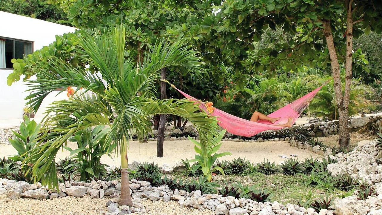 Photo of Outdoor in Akumal