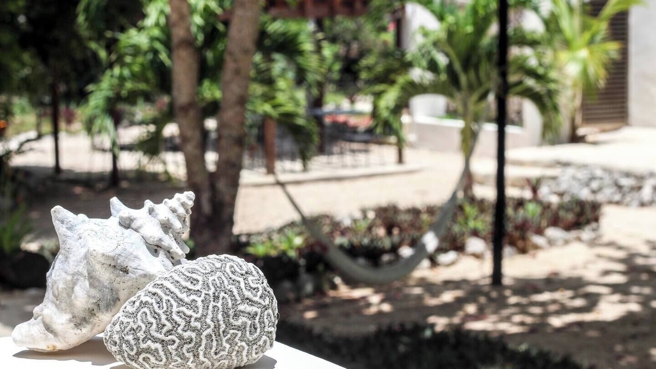 Photo of Outdoor in Akumal