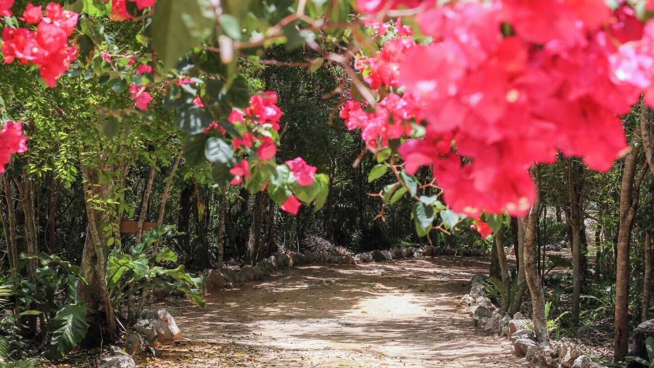 Photo of Outdoor in Akumal