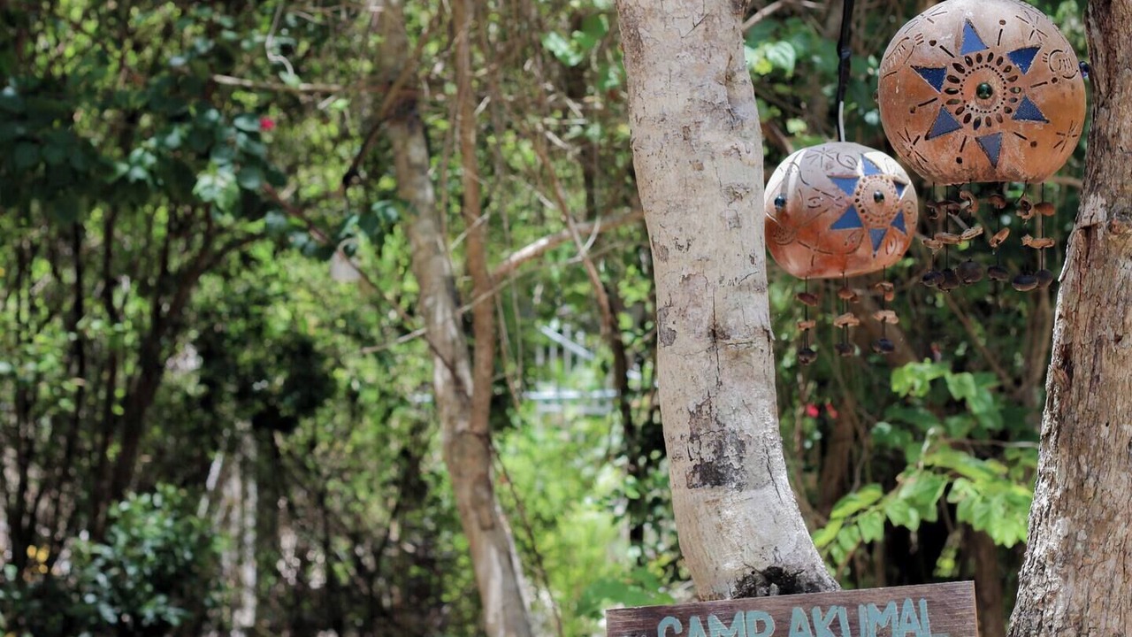 Photo of Outdoor in Akumal