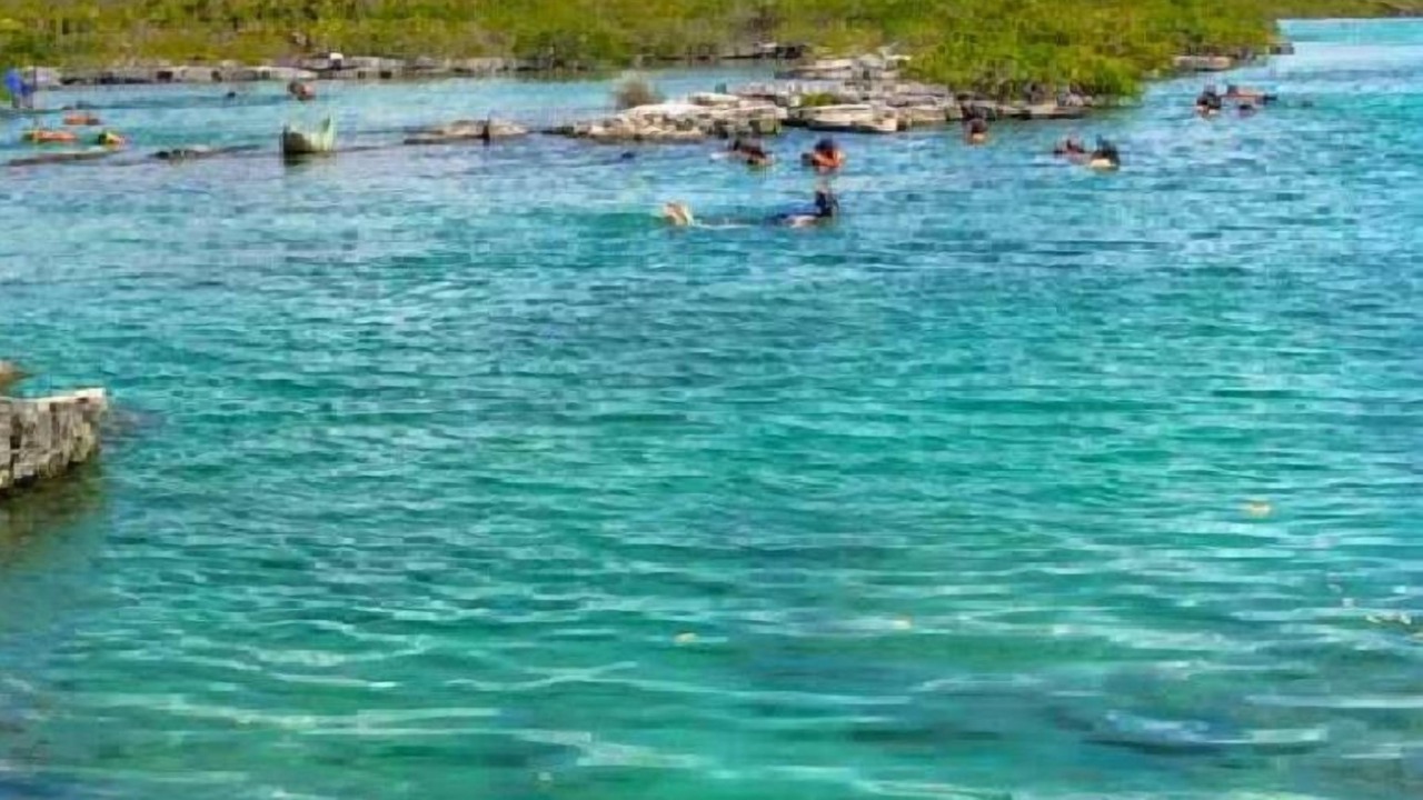 Photo of Others in Akumal