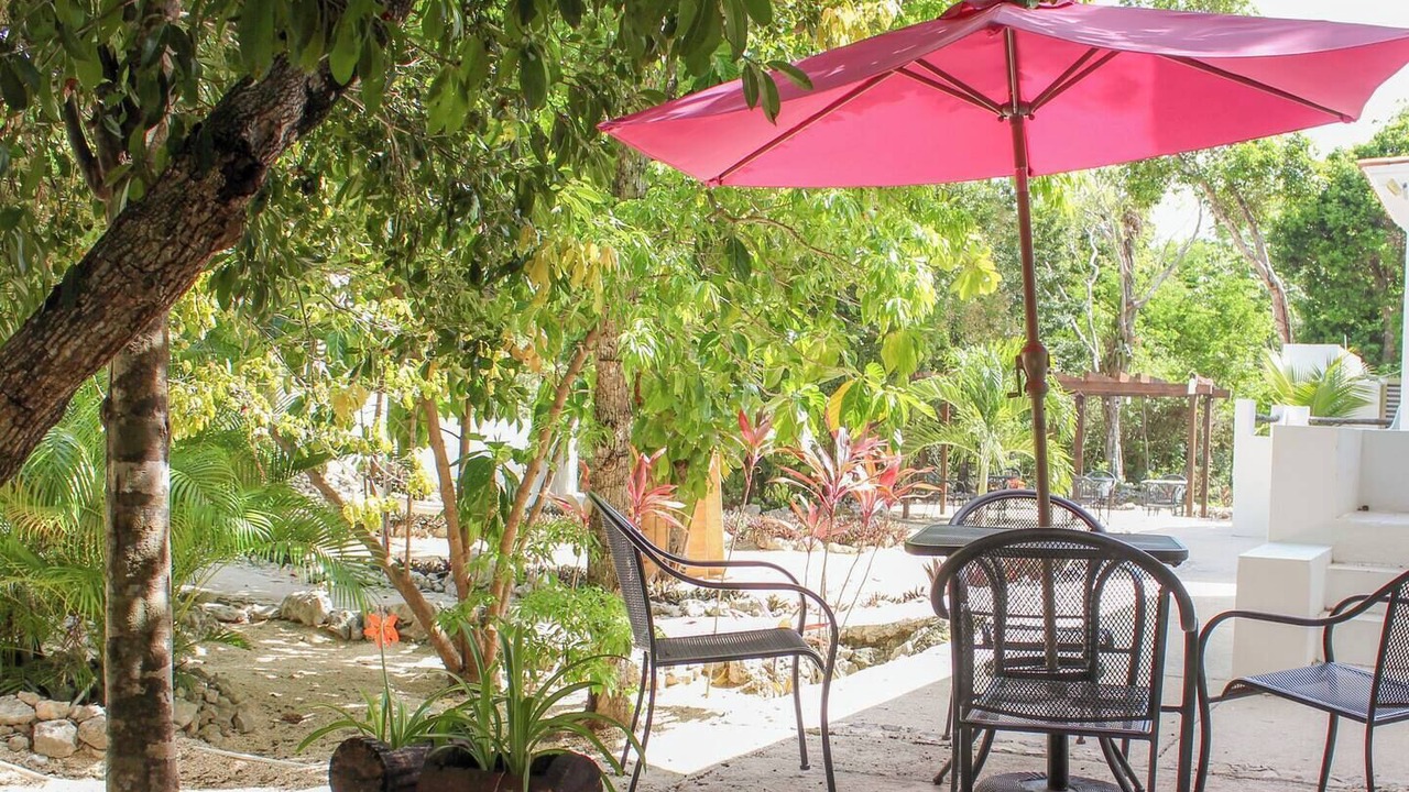 Photo of Outdoor in Akumal