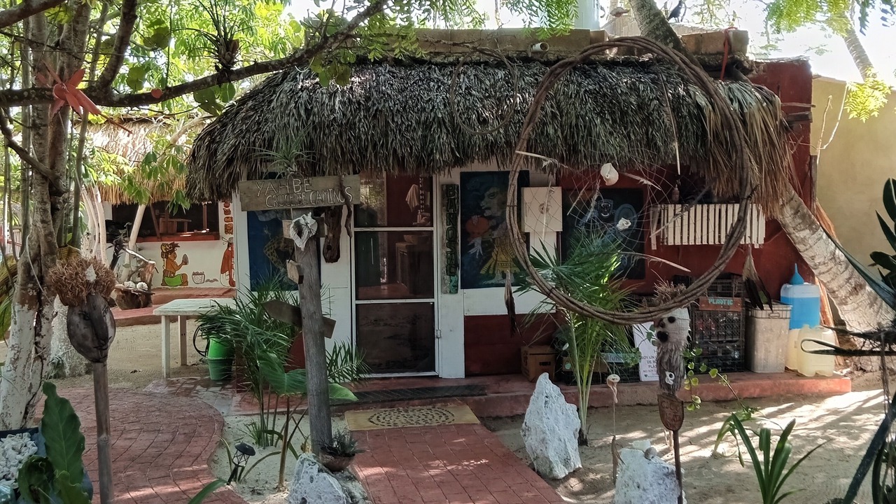 Photo of Outdoor in Rio Lagartos